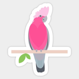 Galah pink parrot Sticker